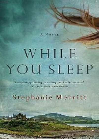 While You Sleep, Hardcover/Stephanie Merritt