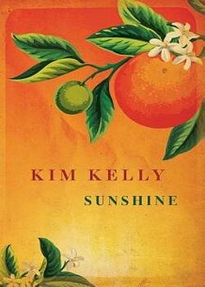 Sunshine, Paperback/Kim Kelly