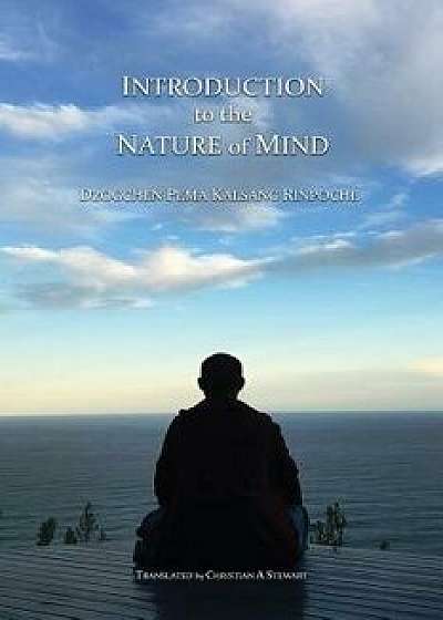 Introduction to the Nature of Mind, Paperback/Dzogchen Pema Kalsang Rinpoche