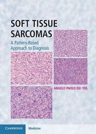Soft Tissue Sarcomas Hardback with Online Resource: A Pattern-Based Approach to Diagnosis, Hardcover/Angelo Paolo Dei Tos