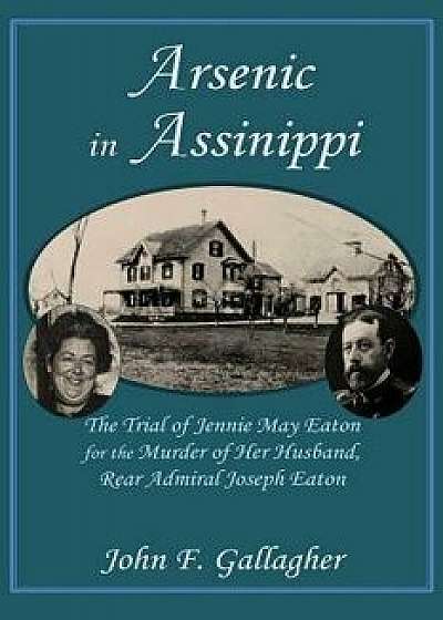 Arsenic in Assinippi, Paperback/John F. Gallagher