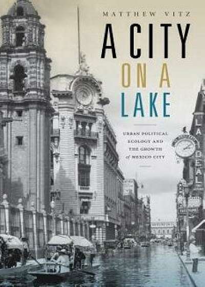 A City on a Lake: Urban Political Ecology and the Growth of Mexico City, Paperback/Matthew Vitz