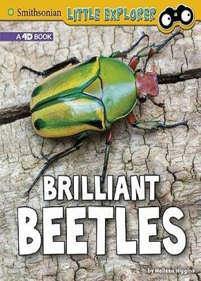 Brilliant Beetles: A 4D Book/Melissa Higgins