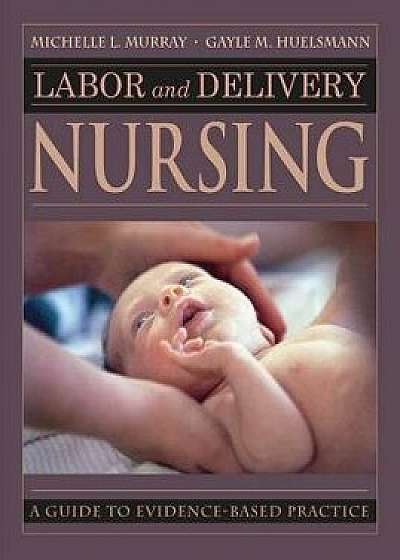 Labor and Delivery Nursing: Guide to Evidence-Based Practice, Paperback/Michelle Murray