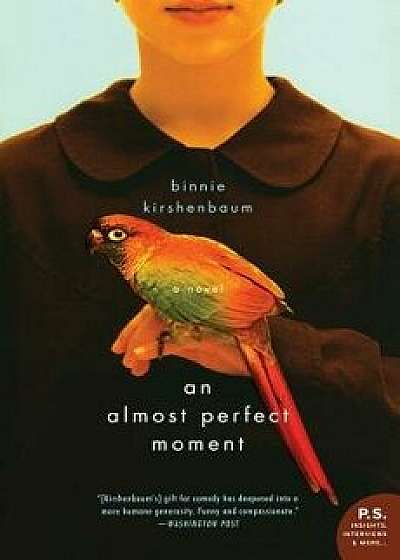 An Almost Perfect Moment, Paperback/Binnie Kirshenbaum