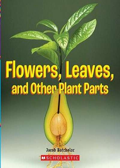 Flowers, Leaves and Other Plant Parts (a True Book: Incredible Plants!)/Jacob Batchelor