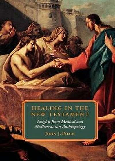 Healing in the New Testament, Paperback/John J. Pilch