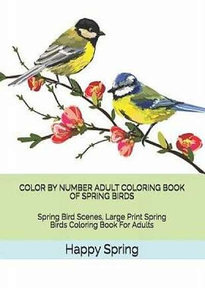 Color by Number Adult Coloring Book of Spring Birds: Spring Bird Scenes, Large Print Spring Birds Coloring Book for Adults, Paperback/Happy Spring