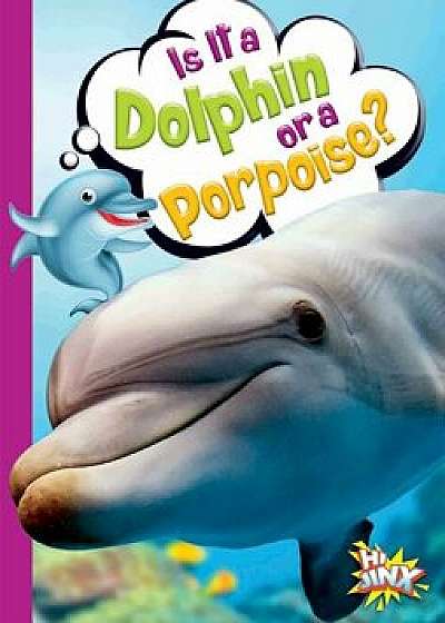 Is It a Dolphin or a Porpoise?, Paperback/Gail Terp