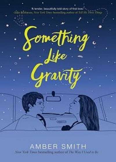 Something Like Gravity, Hardcover/Amber Smith