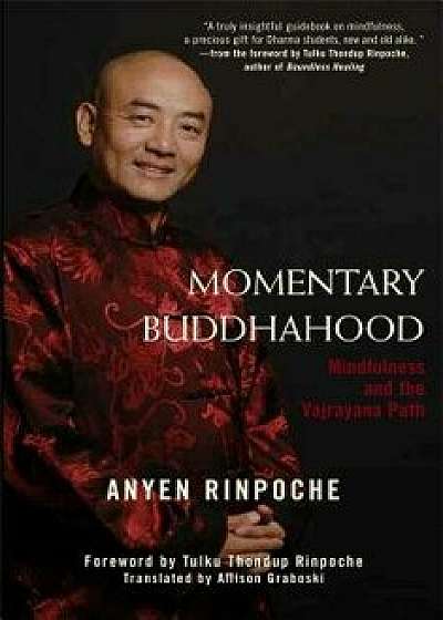 Momentary Buddhahood: Mindfulness and the Vajrayana Path/Anyen