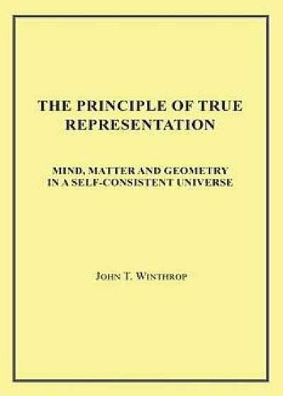 The Principle of True Representation: Mind, Matter and Geometry in a Self-Consistent Universe, Paperback/John T. Winthrop