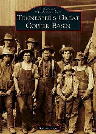 Tennessee's Great Copper Basin, Hardcover/Harriet Frye