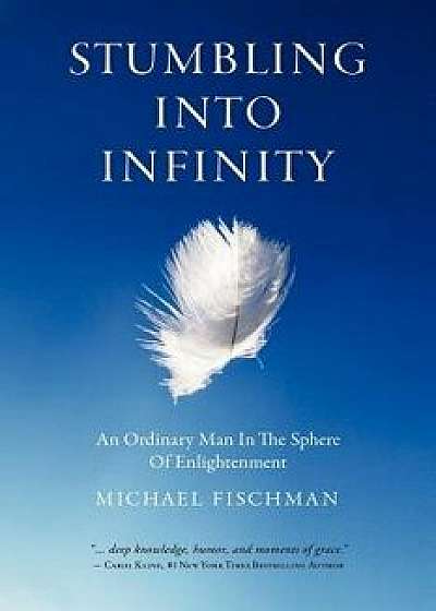 Stumbling Into Infinity: An Ordinary Man in the Sphere of Enlightenment, Paperback/Michael Fischman
