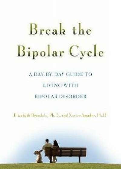 Break the Bipolar Cycle: A Day by Day Guide to Living with Bipolar Disorder, Paperback/Elizabeth Brondolo