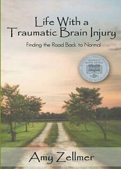 Life with a Traumatic Brain Injury: Finding the Road Back to Normal, Paperback/Amy Zellmer