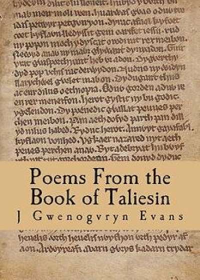 Poems from the Book of Taliesin, Paperback/J. Gwenogvryn Evans