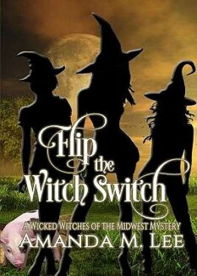 Flip the Witch Switch, Paperback/Amanda M. Lee