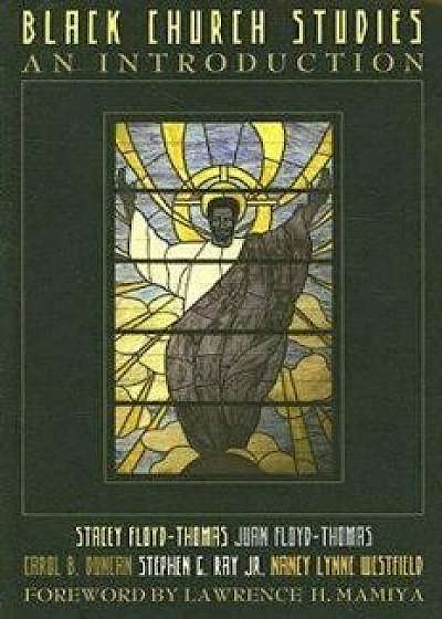 Black Church Studies: An Introduction, Paperback/Stacey Floyd-Thomas