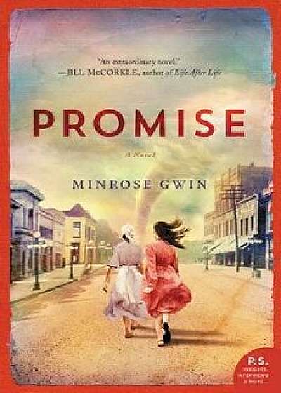 Promise, Paperback/Minrose Gwin