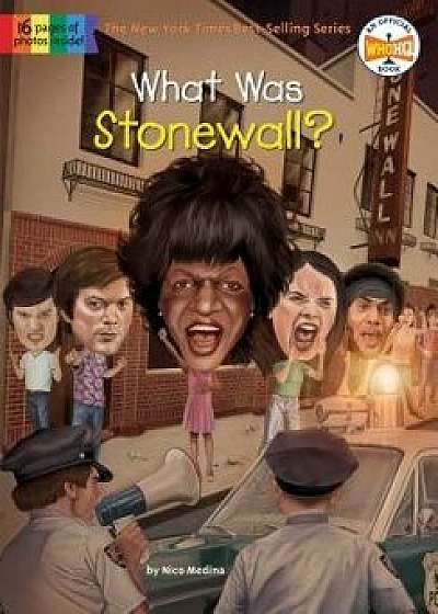 What Was Stonewall?/Nico Medina