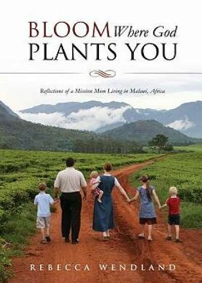 Bloom Where God Plants You, Paperback/Rebecca Wendland