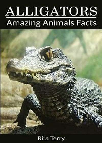 Alligators: Amazing Photos & Fun Facts Book about Alligators, Paperback/Rita Terry