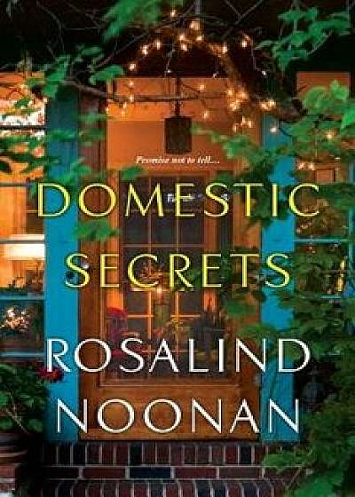 Domestic Secrets, Paperback/Rosalind Noonan