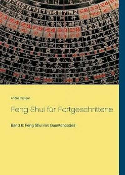 Feng Shui Fur Fortgeschrittene, Paperback/Andre Pasteur