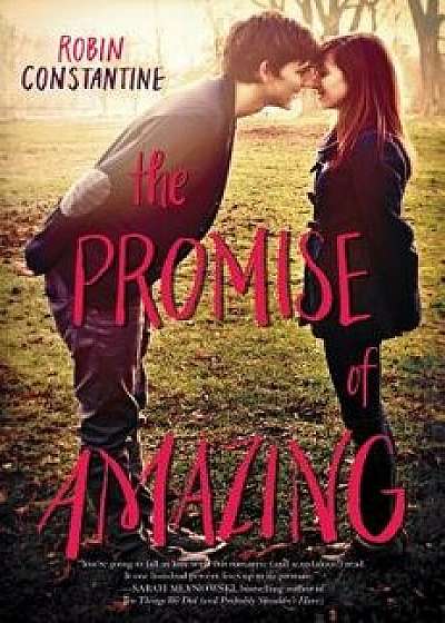 The Promise of Amazing, Paperback/Robin Constantine