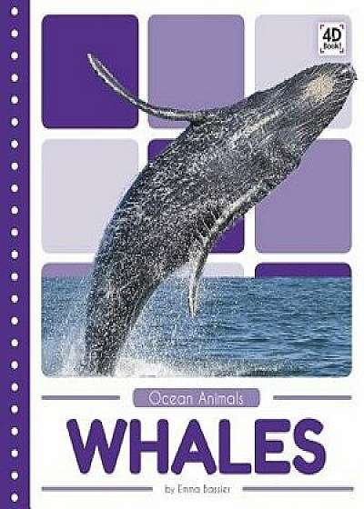 Whales, Paperback/Emma Bassier