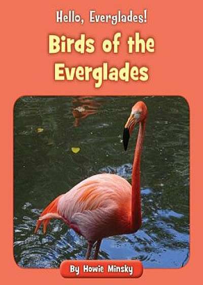 Birds of the Everglades, Paperback/Howie Minsky