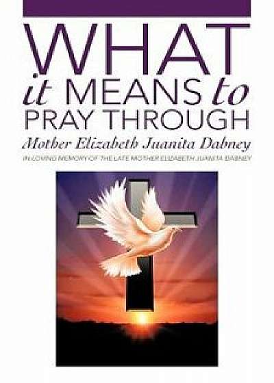 What It Means to Pray Through, Paperback/Mother Elizabeth Juanita Dabney