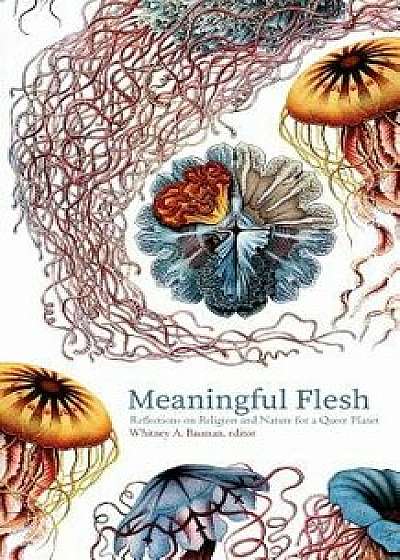 Meaningful Flesh: Reflections on Religion and Nature for a Queer Planet, Paperback/Whitney a. Bauman