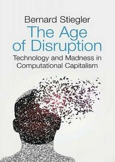 The Age of Disruption: Technology and Madness in Computational Capitalism, Paperback/Bernard Stiegler