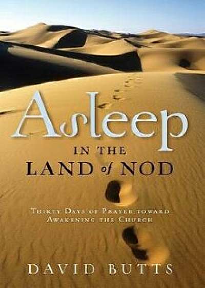 Asleep in the Land of Nod: Thirty Days of Prayer Toward Awakening the Church, Paperback/David Butts