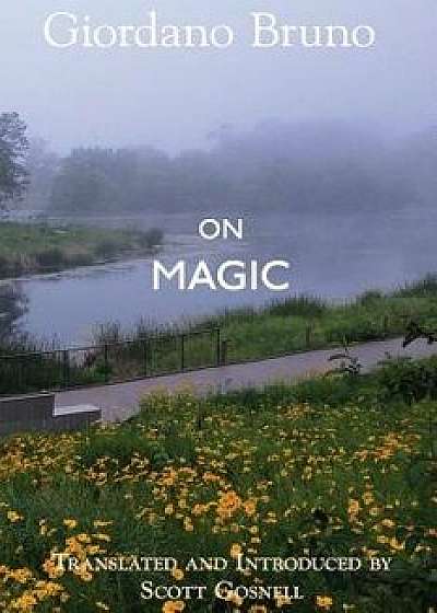 Coperta cărții On Magic, Paperback/Scott Gosnell de Scott Gosnell