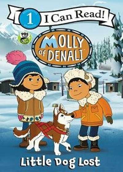 Molly of Denali: Little Dog Lost, Paperback/Wgbh Kids