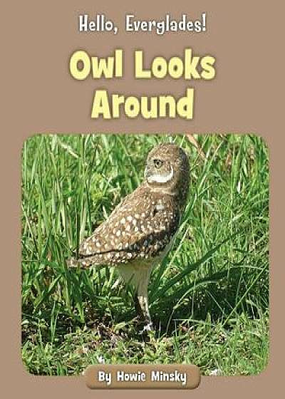 Owl Looks Around, Paperback/Howie Minsky