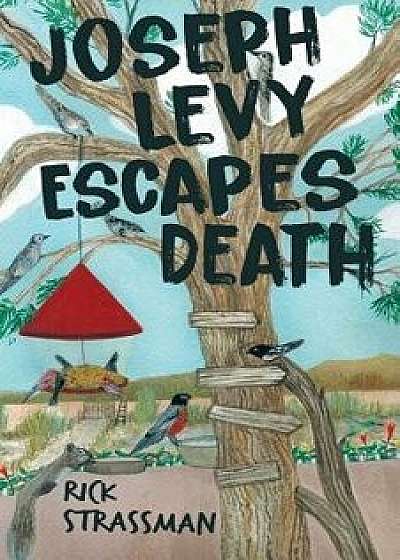Joseph Levy Escapes Death, Paperback/Rick Strassman