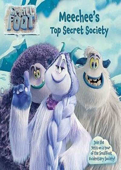 Meechee's Top Secret Society, Paperback/Maggie Testa