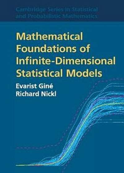 Mathematical Foundations of Infinite-Dimensional Statistical Models, Hardcover/Evarist Gine