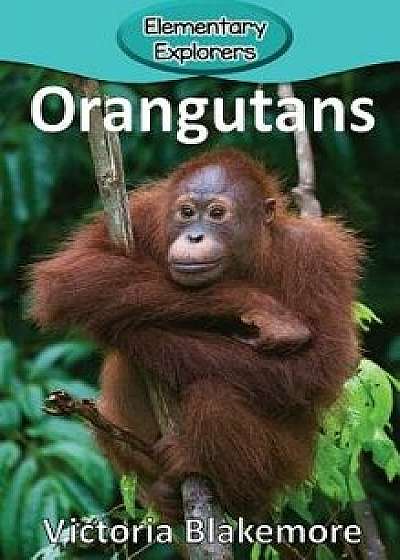 Orangutans, Hardcover/Victoria Blakemore