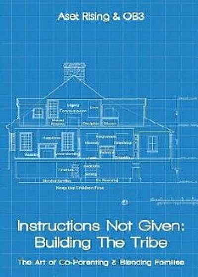 Instructions Not Given: Building the Tribe: The Art of Co-Parenting & Blending Families, Paperback/Aset Rising