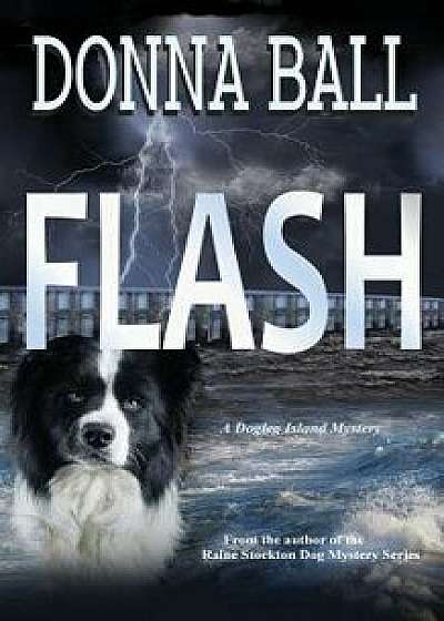 Flash, Paperback/Donna Ball
