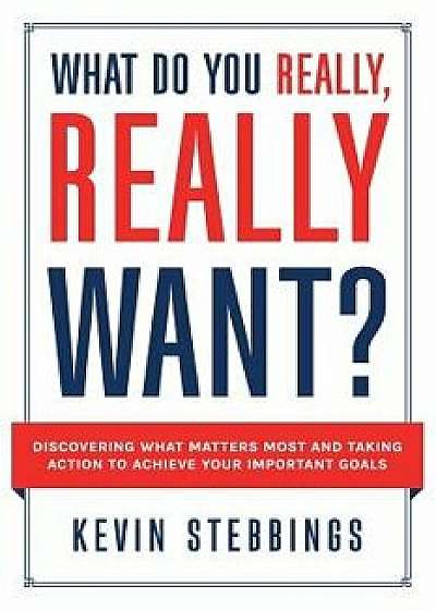 What Do You Really, Really Want?: Discovering What Matters Most And Taking Action To Achieve Your Important Goals, Paperback/Kevin Stebbings