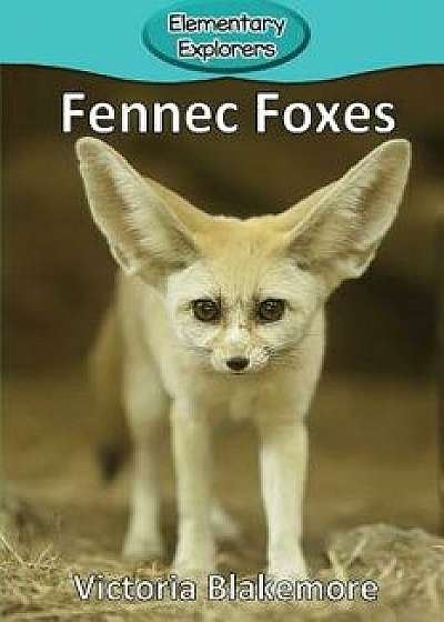 Fennec Foxes, Paperback/Victoria Blakemore