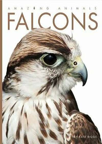 Falcons, Paperback/Kate Riggs