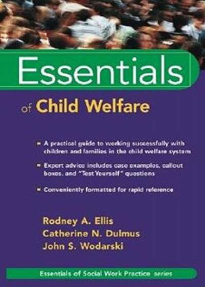 Essentials of Child Welfare, Paperback/Rodney A. Ellis