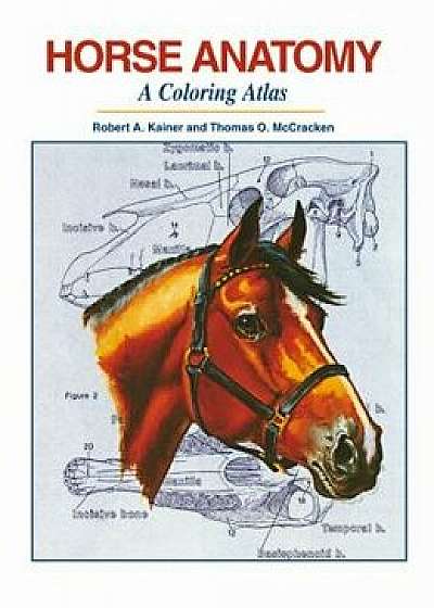 Horse Anatomy: A Coloring Atlas/Robert A. Kainer